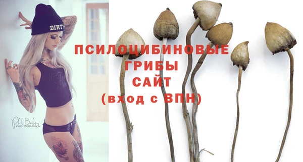2c-b Кинешма