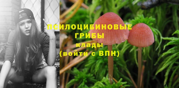 a pvp Киренск