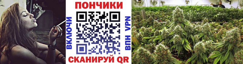 Марихуана OG Kush Бобров